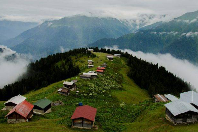 Rize